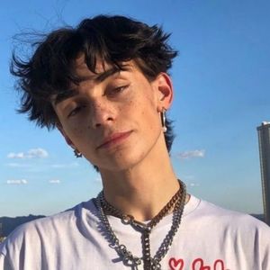 Meet your Posher, Fleischer